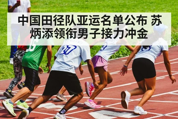 中国田径队亚运名单公布 苏炳添领衔男子接力冲金